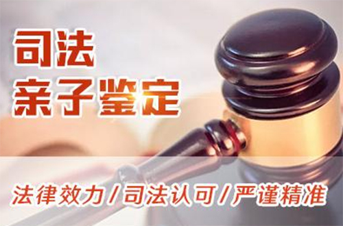 德宏司法亲子鉴定中心地址在哪里,德宏司法亲子鉴定准确性高吗